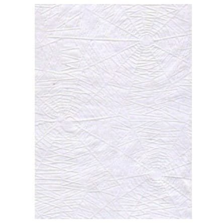 Permatomas pergamentinis popierius